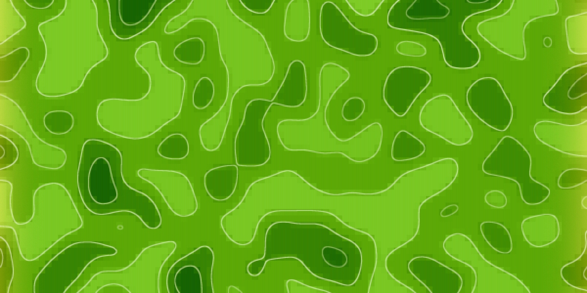 Best Loan Companies No Credit Check: A Comprehensive Case Study