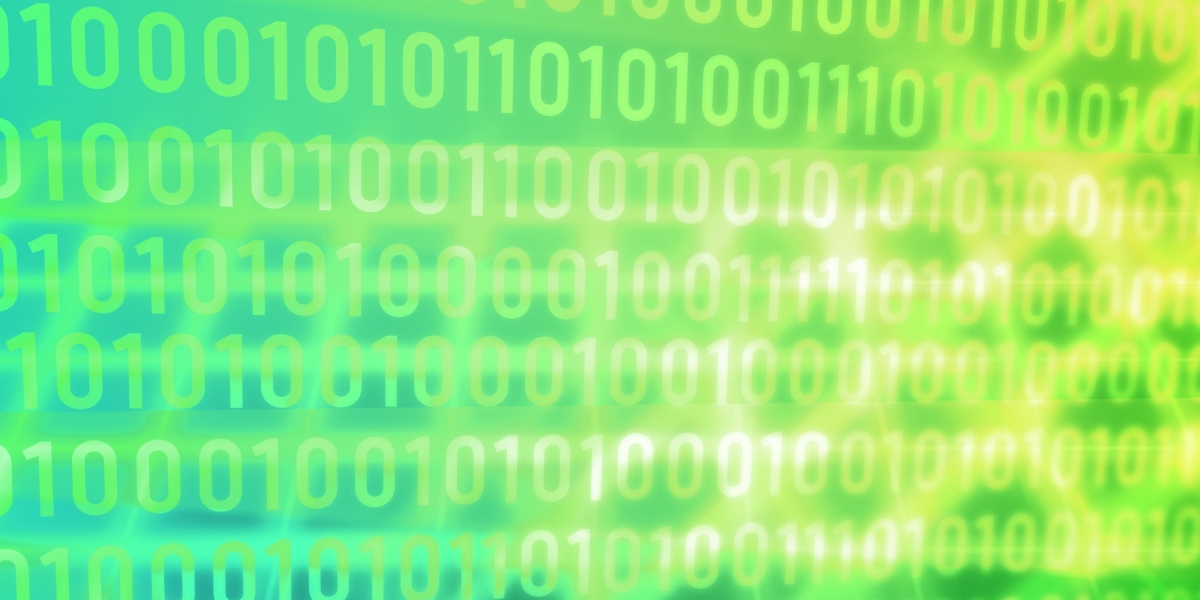 Observational Insights into Private Plane Booking: Trends, Preferences, and User Experiences