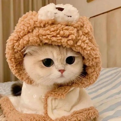 Longde Longde Profile Picture