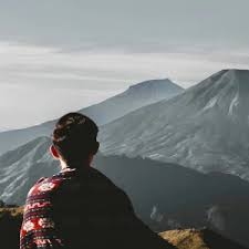 factory shangfeng Profile Picture