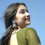 emmyseoexpert emmyseoexpert Profile Picture